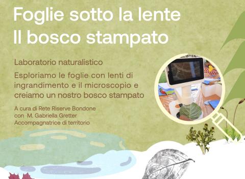 Foglie sotto la lente