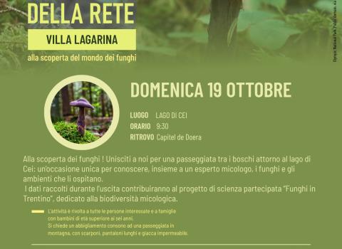 Mycoblitz - 19 ottobre 2025