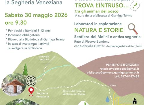 Le storie del Bosco
