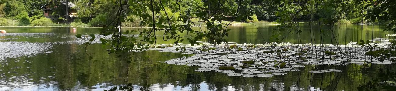 En Zei, tra Acqua e Boschi